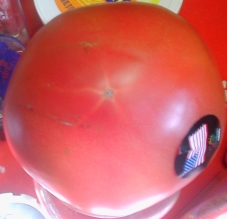 tomato-03.jpg (38569 bytes)